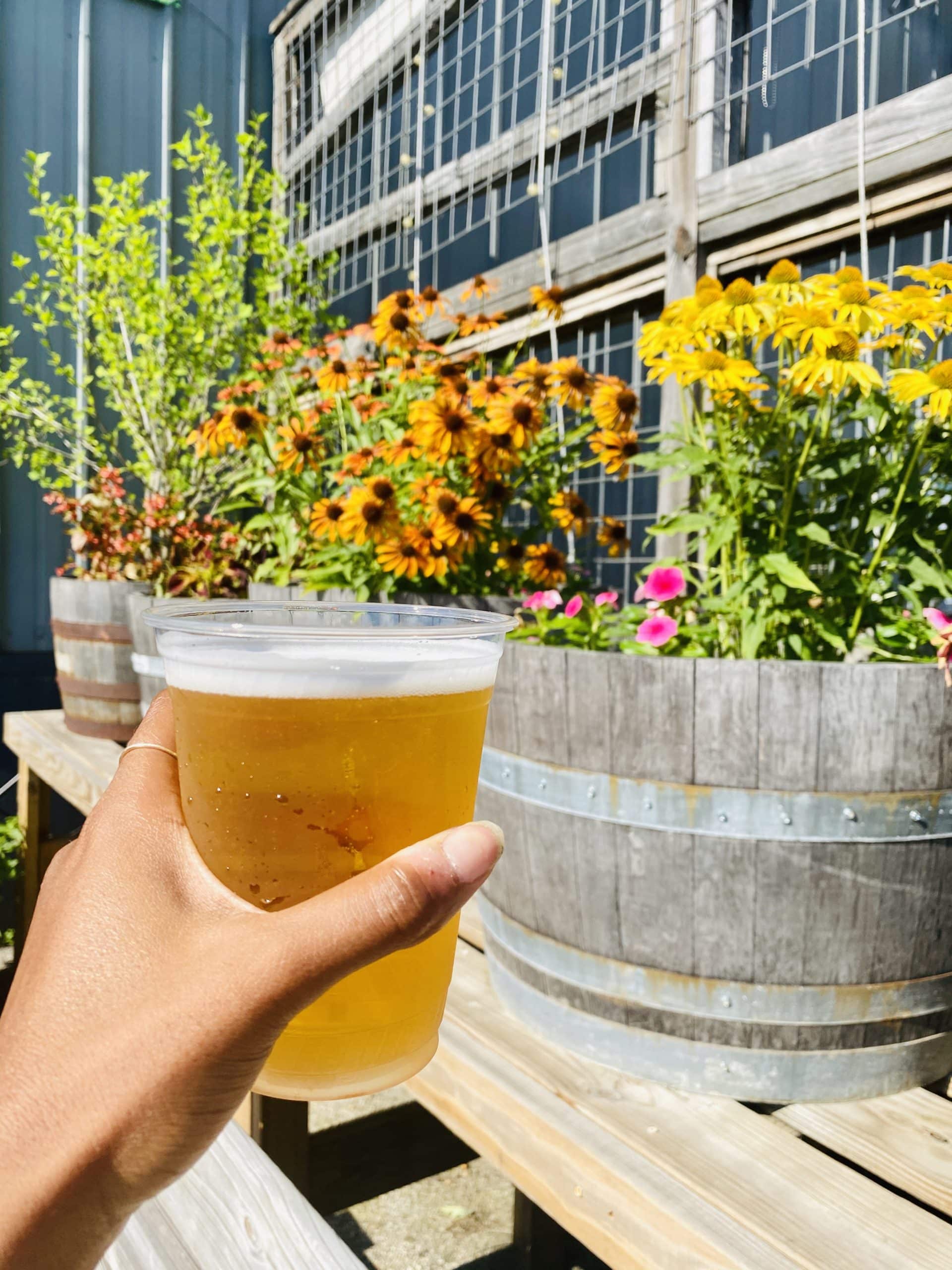 memphis patios and outdoor eating spaces Wiseacre Brewing Company beer in front of flowers