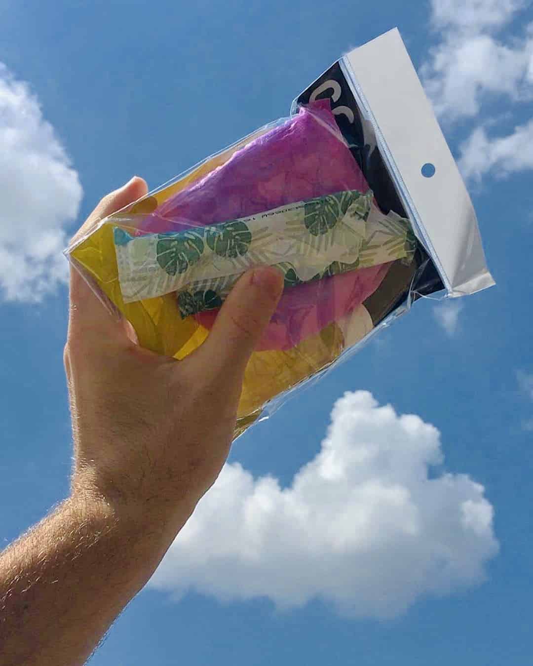 A person holding a bag of food in front of a blue sky.
