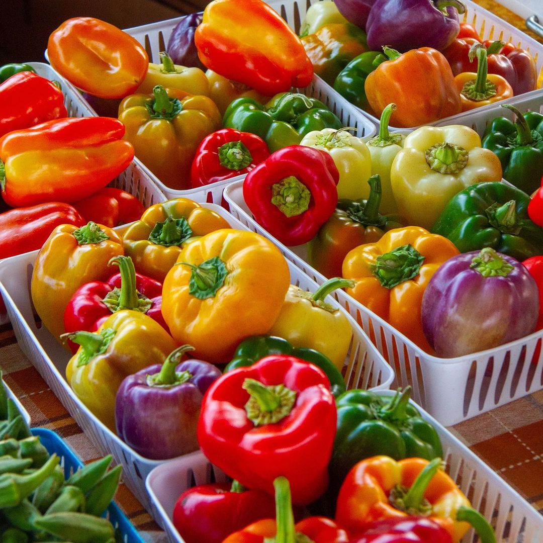 Farmers markets showcasing baskets of colorful peppers on a table.