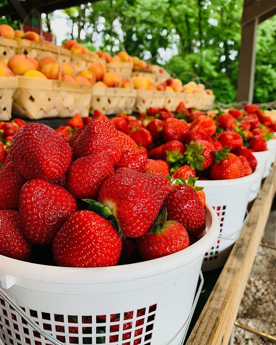 Baskets of strawberries at farmers markets.