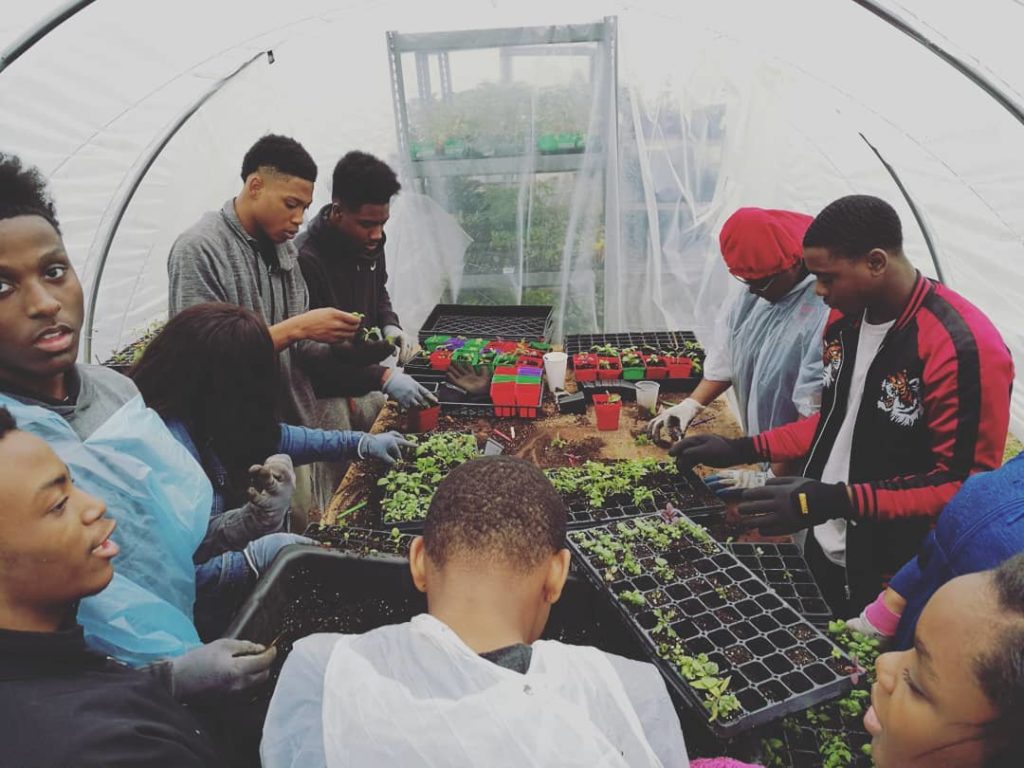 A group of volunteers working in a greenhouse in Memphis.