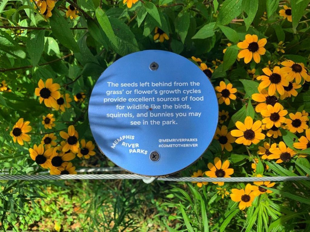 A quote sign in Memphis Gardens surrounded by yellow flowers.