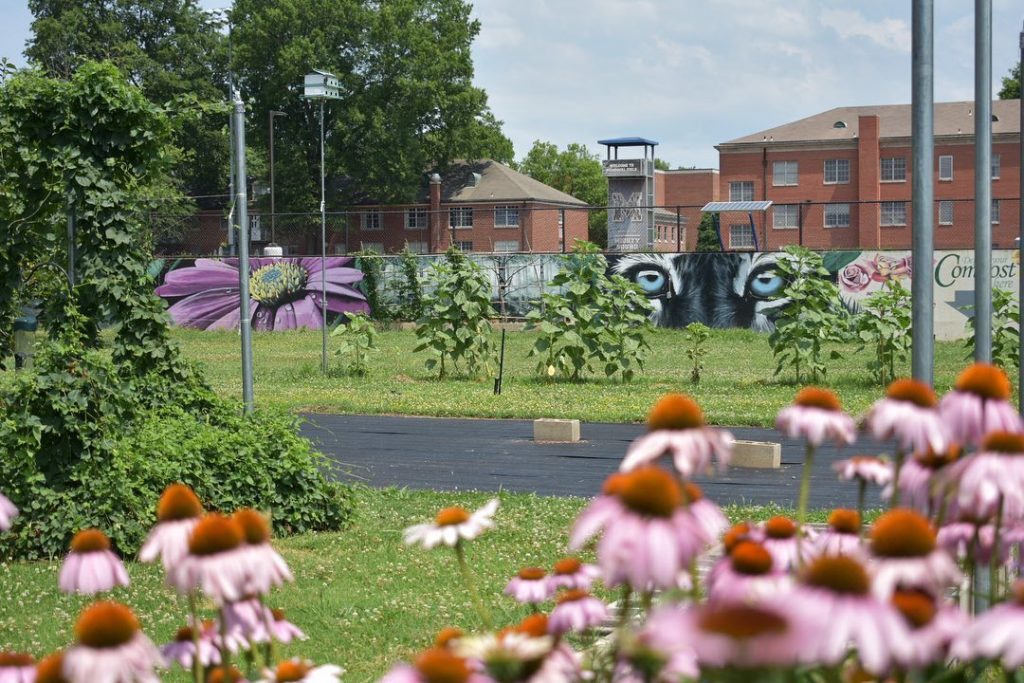 A park with flowers and a building in the background at Memphis Gardens.