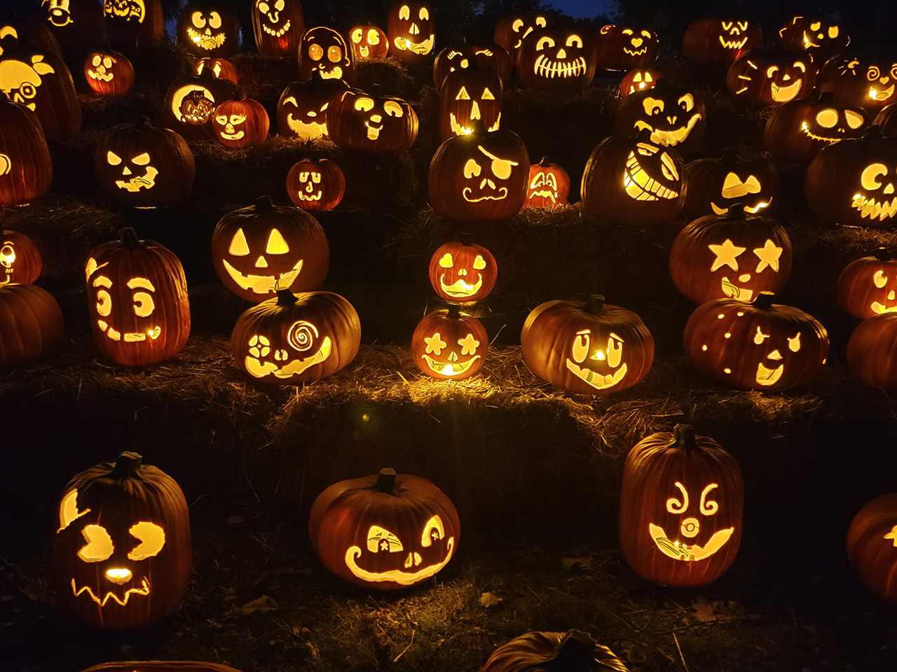 A large group of pumpkins with faces carved into them for Halloween in Memphis.