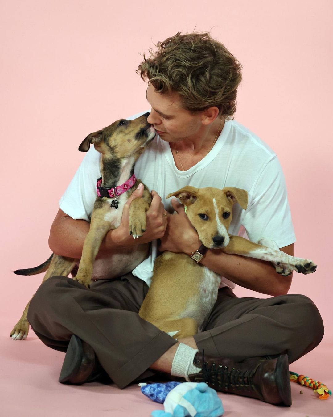 A man kissing two dogs on a pink background with Memphis nonprofits.