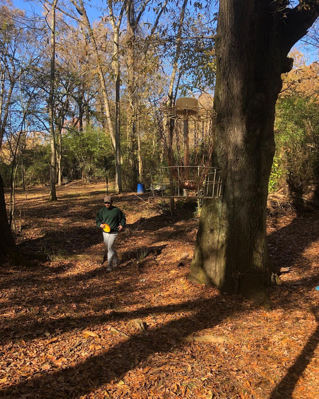 A person playing Disc Golf in a wooded area in Memphis with a frisbee.
