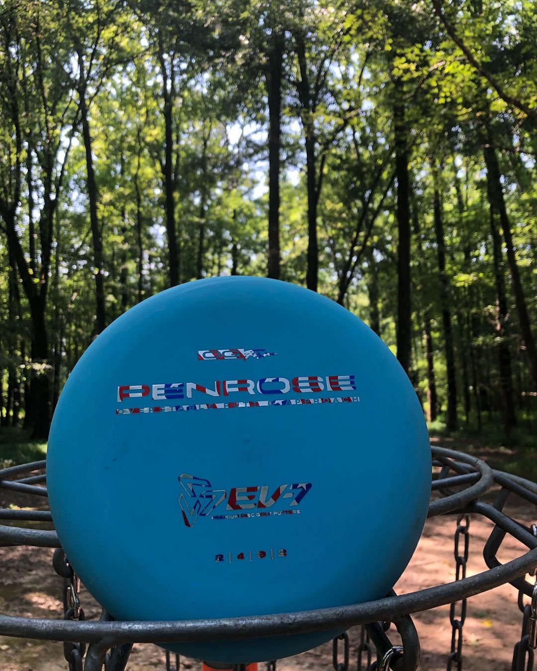 A blue frisbee is sitting in a basket while playing Disc Golf in Memphis.