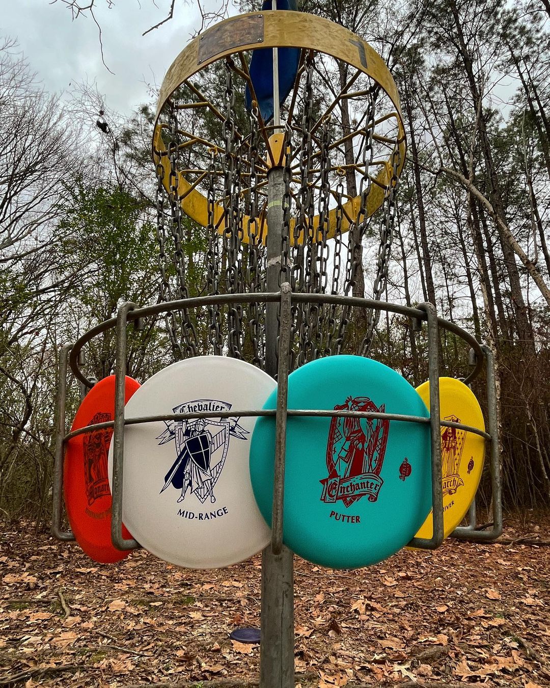 Colorful discs in basket at disc golf course in Memphis
