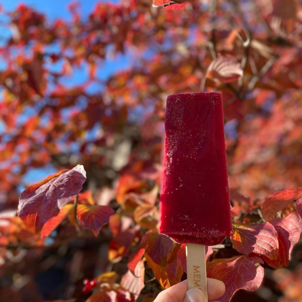 A person holding a red berry ice cream in front of a tree.