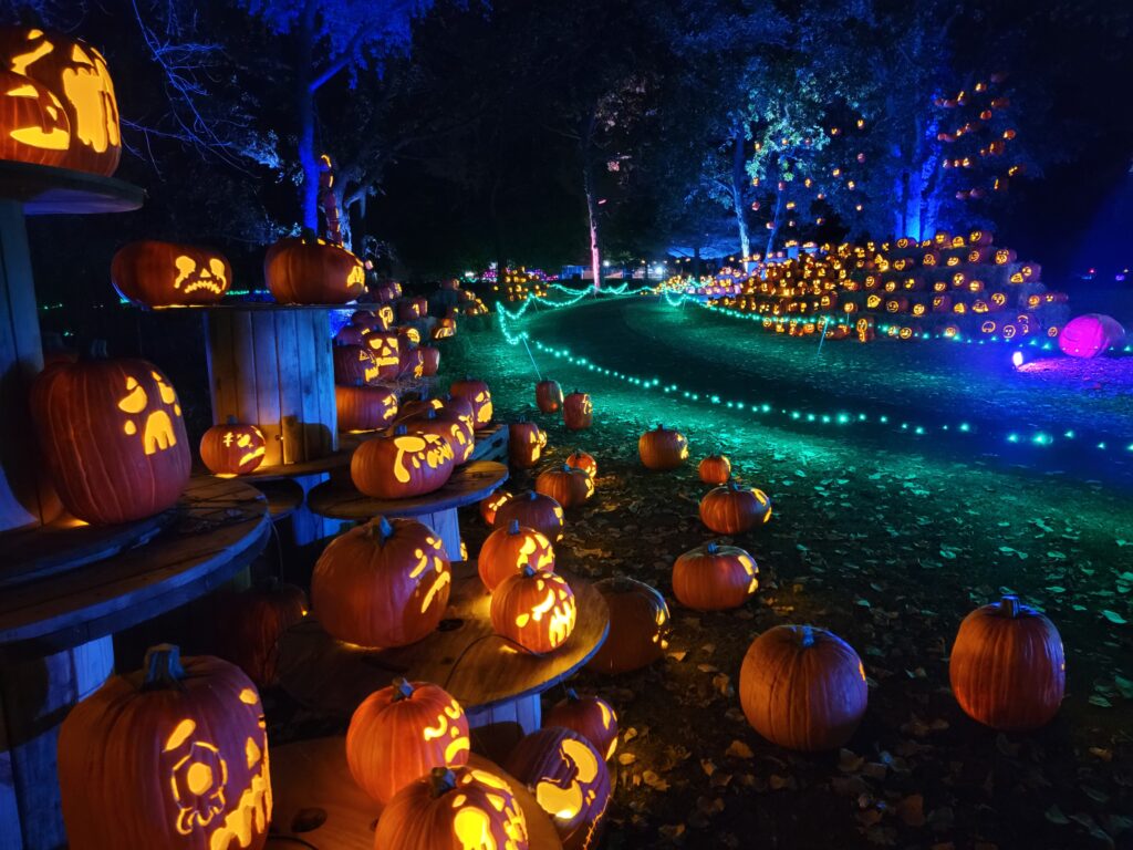 Jack O' Lantern World's installation of 1000s of hand-carved pumpkins