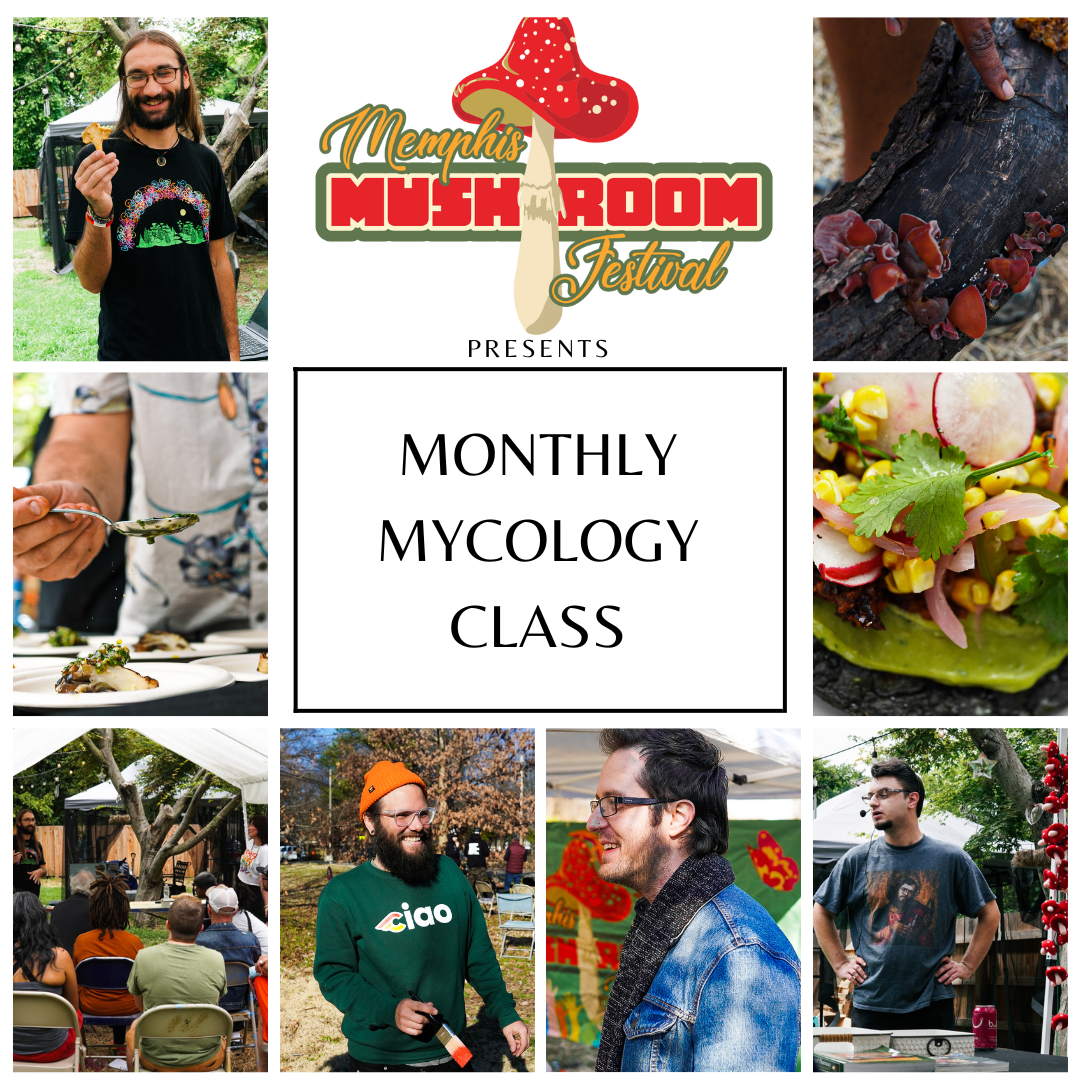 Monthly Mycology Class with Memphis Mushroom Festival Choose901
