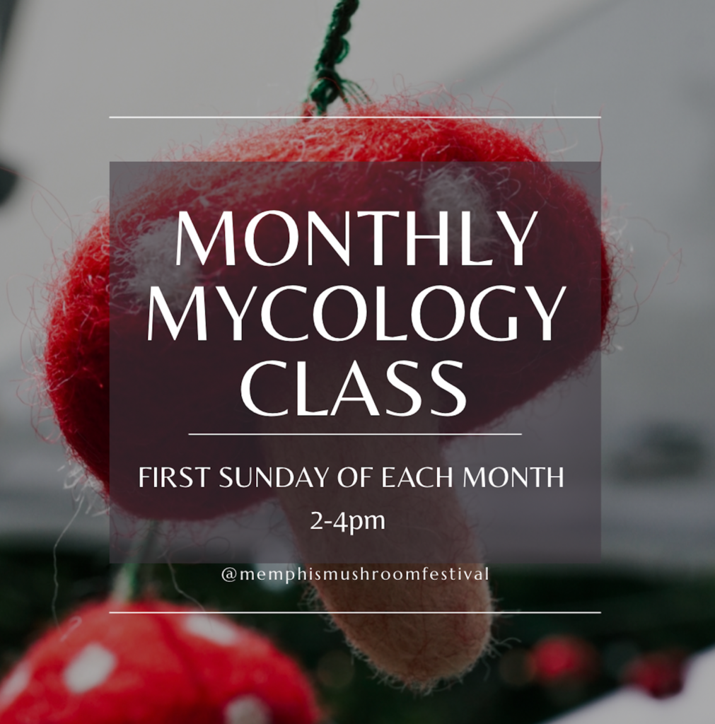 Monthly Mycology Event with Memphis Mushroom Festival Choose901