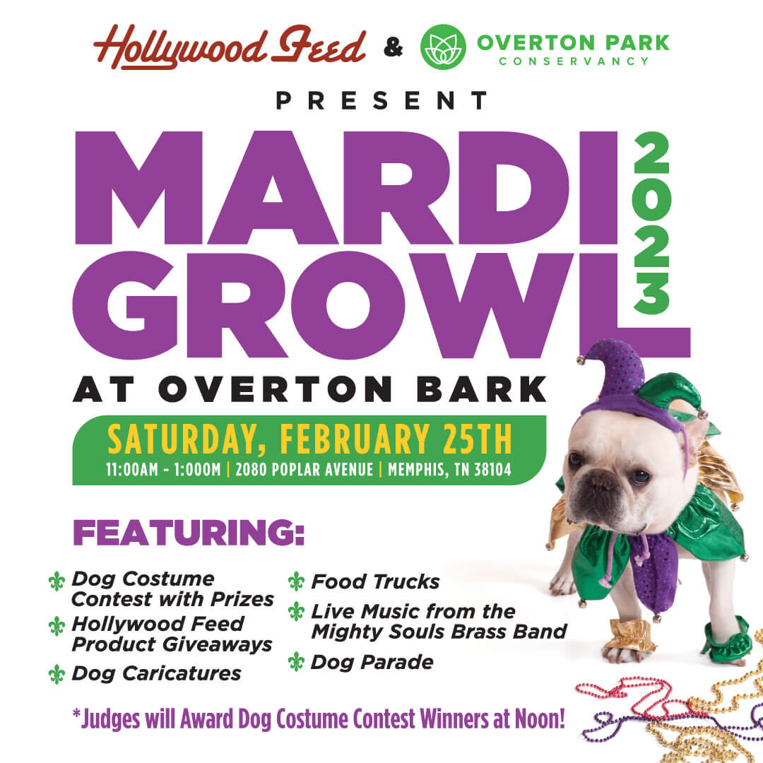 Overton Bark Dog Park at Overton Park