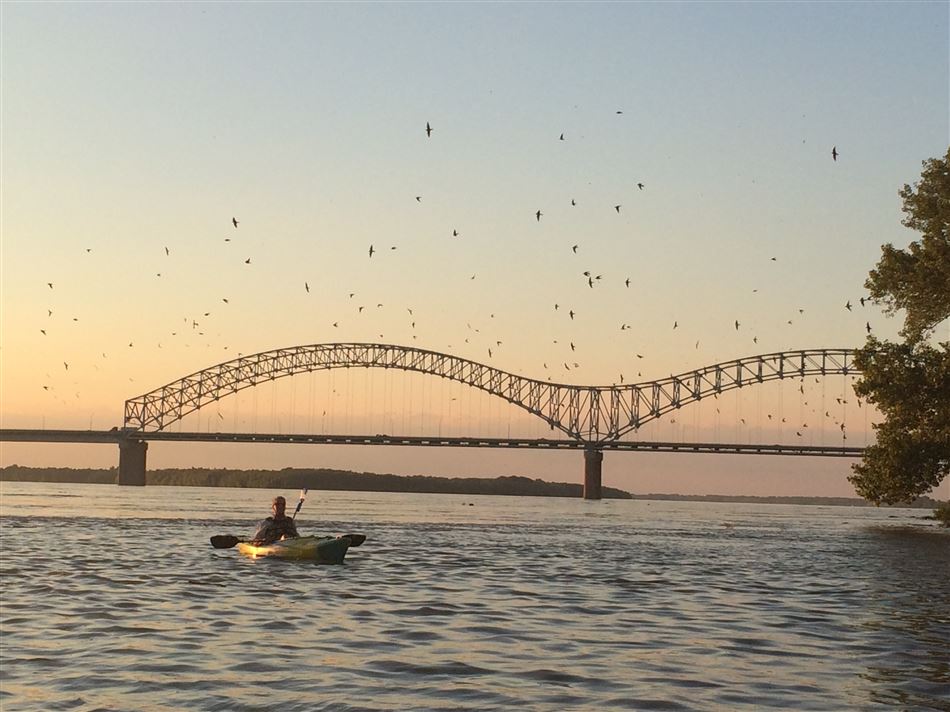 A person kayaking on the Memphis river at sunset with a large arched bridge in the background and birds flying overhead.