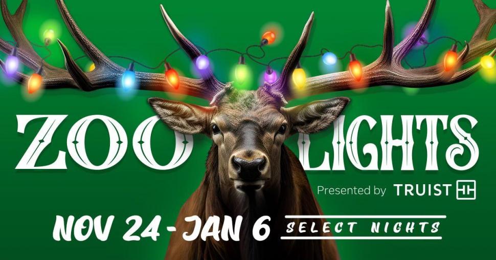 Enjoy the enchanting Zoo Lights at Memphis Zoo from Nov 24 to Jan 2.