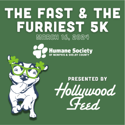 The fast and furriest 5k races.