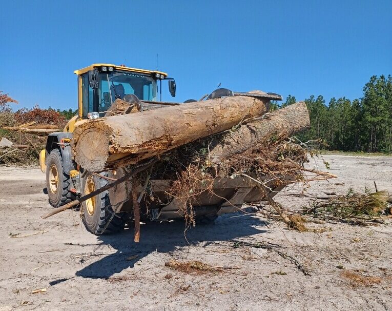A loader with a pile of large logs and debris in its bucket at a sustainable logging site.